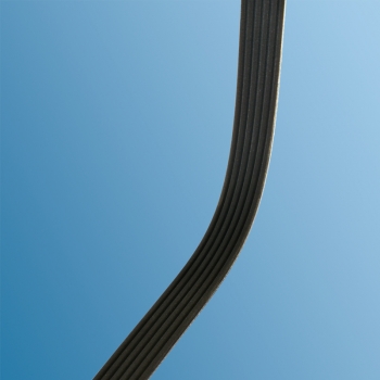 poly-rib belt for Porsche 997  99610215166