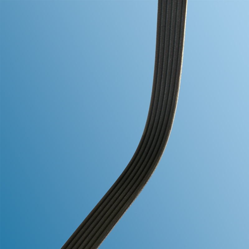 poly-rib belt for Porsche Cayman  99610215166