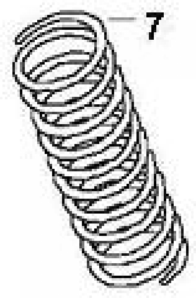 coil spring for Porsche 914-6  91433353105